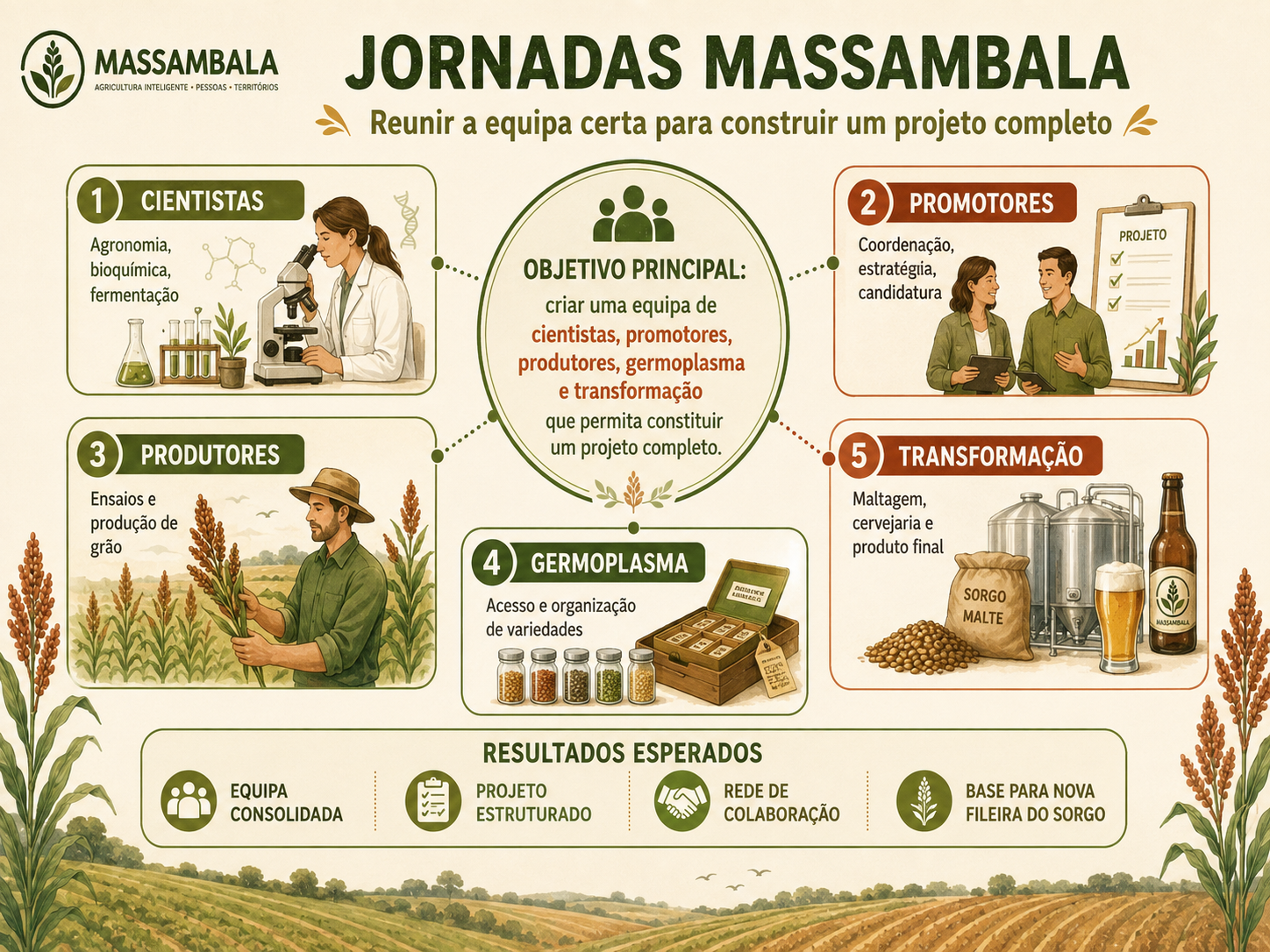 Infografia das Jornadas MASSAMBALA, centrada na criação de uma equipa de cientistas, promotores, produtores, germoplasma e transformação.
