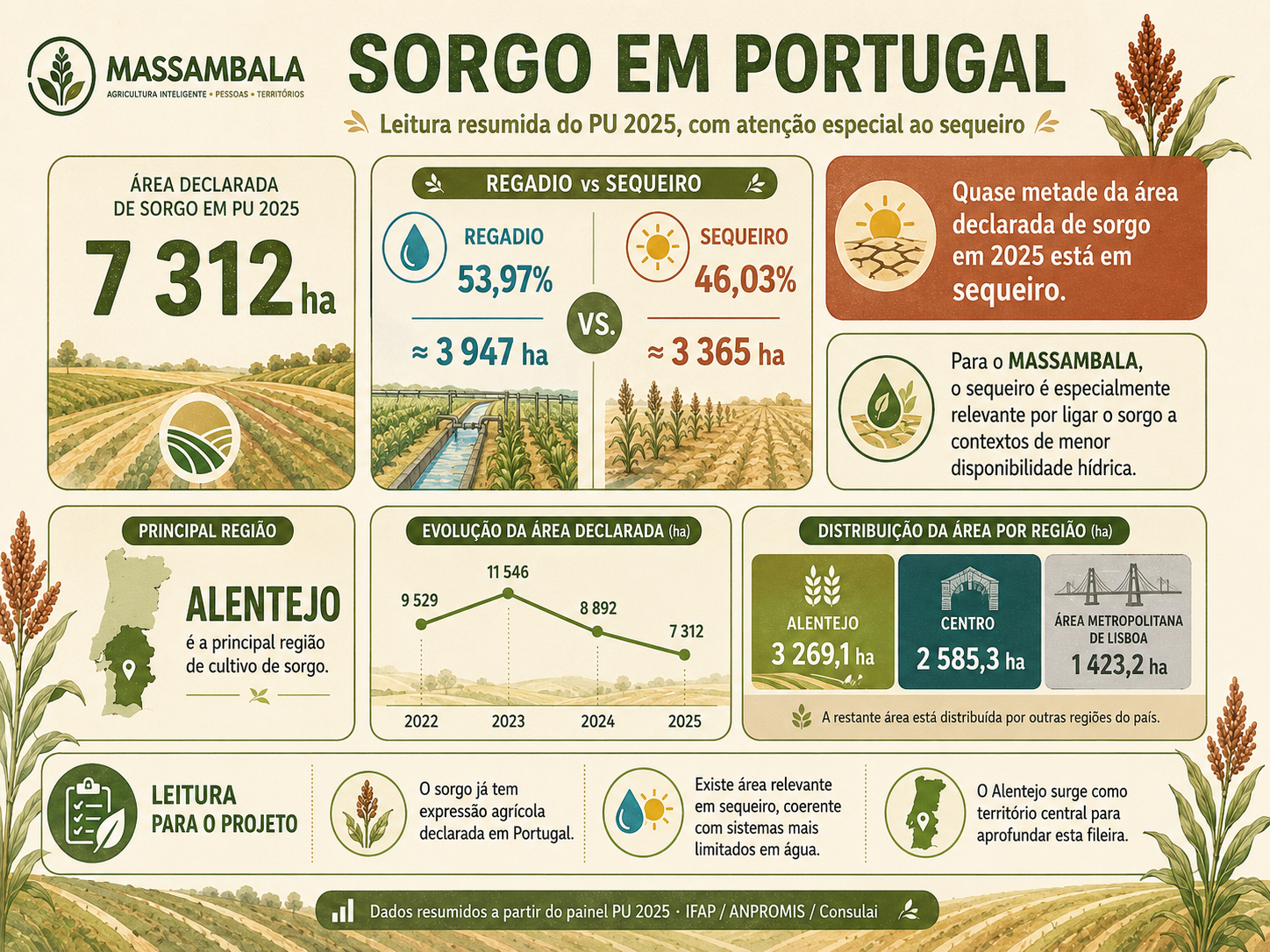 Infografia sobre a produção declarada de sorgo em Portugal no PU 2025, incluindo área total, regadio, sequeiro, evolução recente e destaque para o Alentejo.